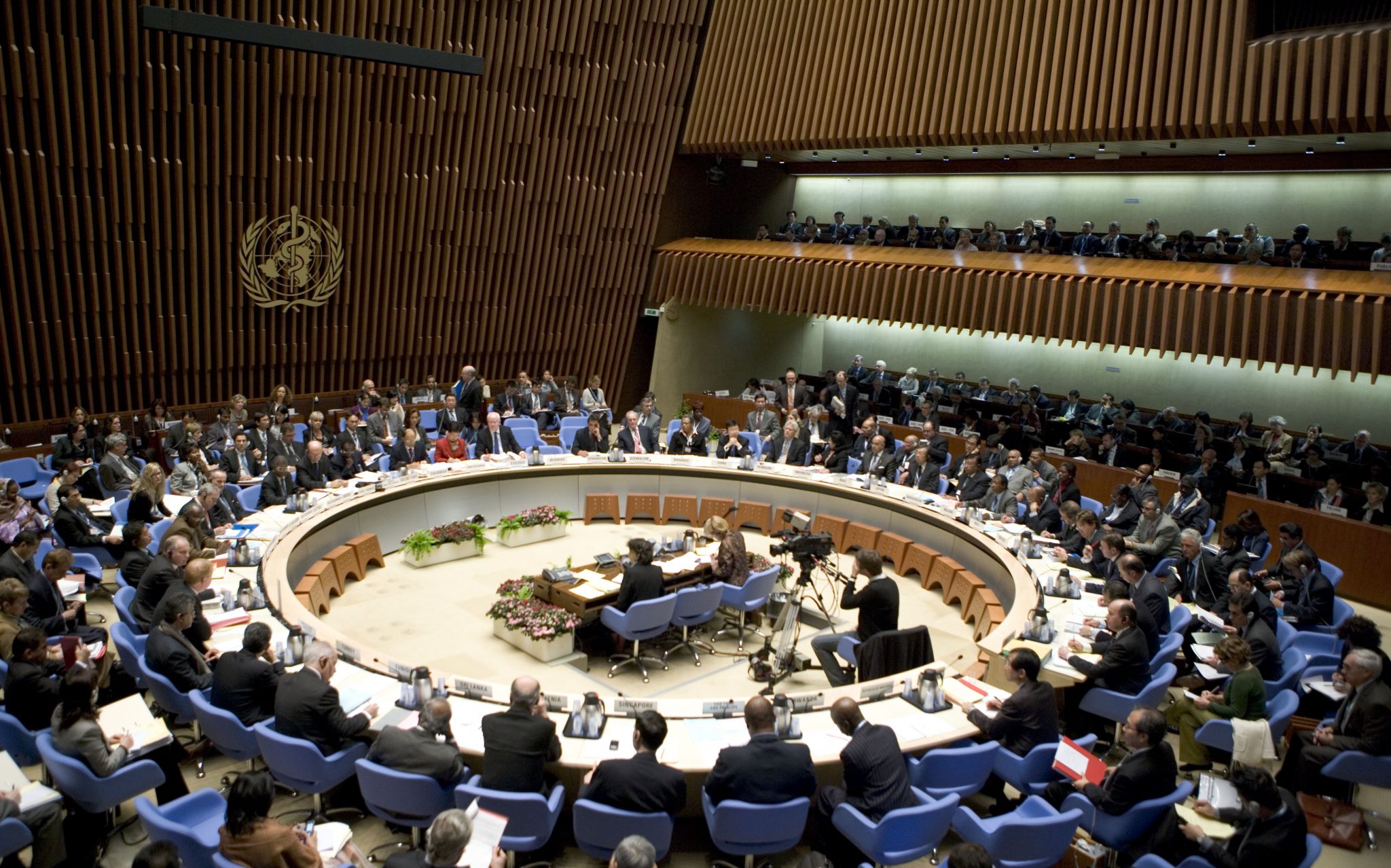 1,000 Days & Partners Submit Joint Statements to WHO Executive Board