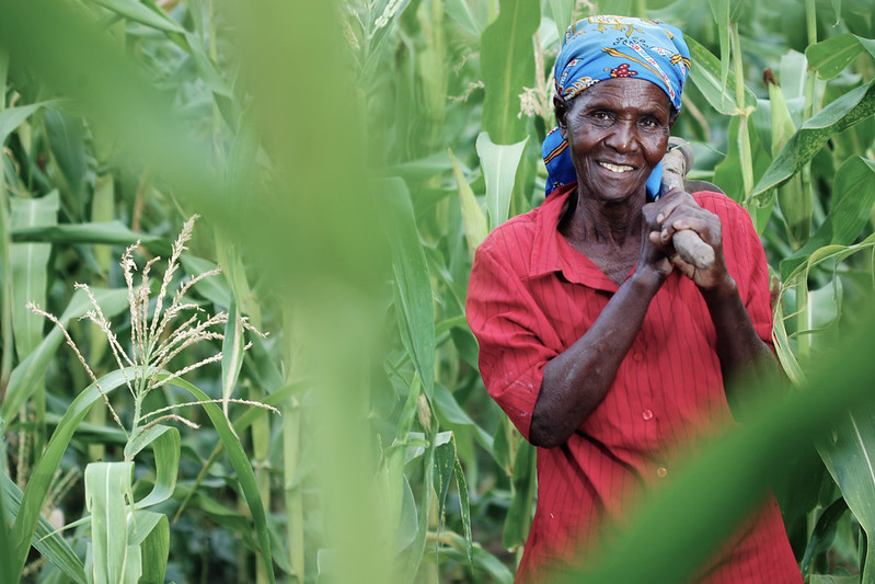 Woman farmer in Kenya poses in a corn field holding a hoe